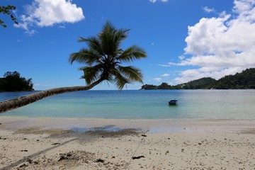 Obraz na płótnie Canvas plage de mahé, Seychelles