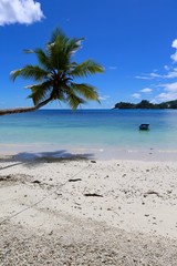 Obraz na płótnie Canvas plage de mahé, Seychelles