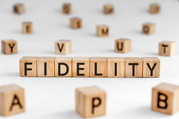 Fidelity - word from wooden blocks with letters, loyalty allegiance fidelity concept, random letters around white background - obrazy, fototapety, plakaty