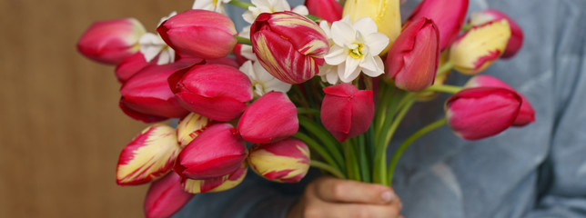 Bouquet of pink tulips and white daffodils in the hand of a child. Girl holding spring bouquet. Holidays concepts.