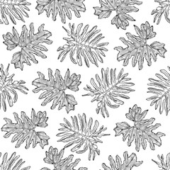 Seamless pattern with sketchy black and white philodendron leaves.