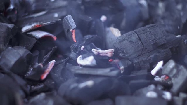 Burning fire on coals