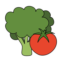 fresh broccoli with tomato vegetables vector illustration design