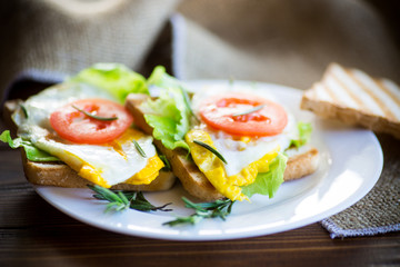 fried toasts with egg, salad, tomato in a plate