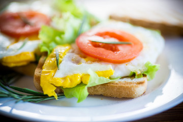 fried toasts with egg, salad, tomato in a plate
