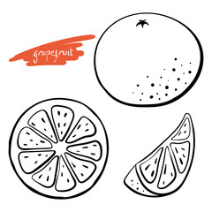 Grapefruit, whole, half and slice. Black line sketch collection of citrus fruits isolated on white background. Doodle hand drawn vegetables. Vector illustration
