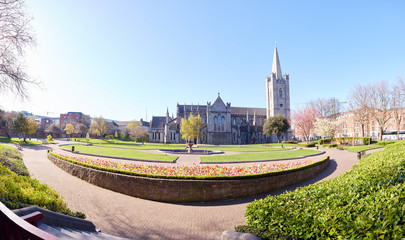 St Patrick's Cathedral spire and St Patrick's Park in Dublin City, Ireland