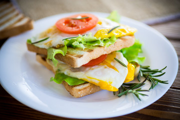 fried toasts with egg, salad, tomato in a plate