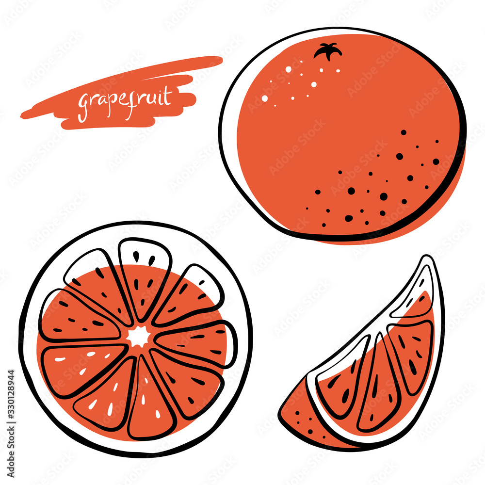 Wall mural Grapefruit, whole, half and slice. Colorful sketch collection of citrus fruits isolated on white background. Doodle hand drawn vegetables. Vector illustration