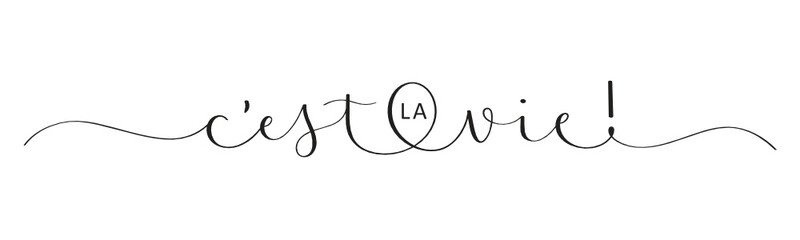 C'EST LA VIE! vector black brush calligraphy banner with swashes (THAT'S LIFE in French)
