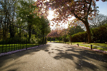 St Stephen's Green park, in Dublin, Ireland