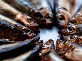 Cold smoked salaka ready to eat. Smoked fish close-up on a plate. Sea fish is a tasty and healthy natural food product, rich source of essential Omega-6 fatty acids or polyunsaturated fat acid oil