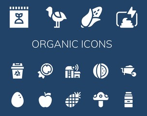 organic icon set