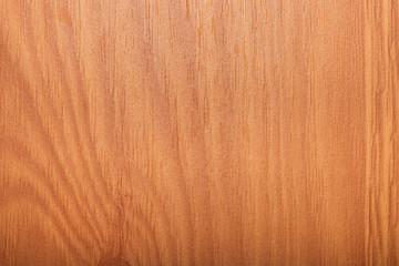 the abstract wood texture background