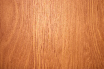 the abstract wood texture background