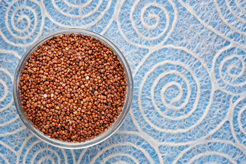 fluten free red quinoa grain