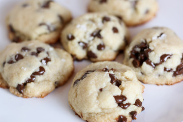Chewy Chocolate Chip Cookies