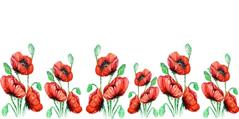 Banner of red bright poppies on a white background with free space for your text. Flower border.