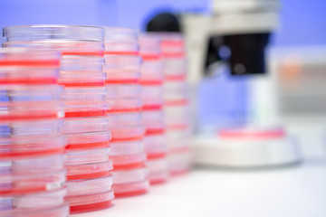 Microscope and petri dish with biological sample on clinical workbench