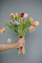 Arm of Man Giving tulips bouquet. Spring bouquet of tulips in hand. Bunch of fresh cut spring flowers in male hands.