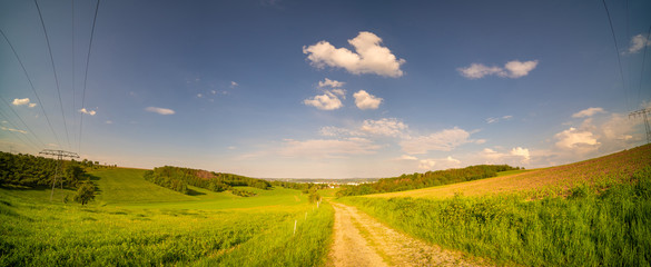 Sunny summer day  country road, green meadows and blue sky