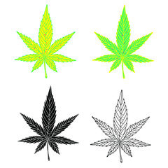 Cannabis leaves set: green, yellow. black and white. Marijuana leaf hand drawn vector illustration isolated on white background.