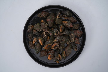 The black conch is placed in a black disc against a white background