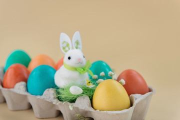 Easter concept with a bunny in nest. Painted easter eggs in egg