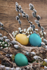Spring Easter greeting card with colored eggs with willow seals