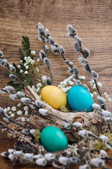 Spring Easter greeting card with colored eggs with willow seals