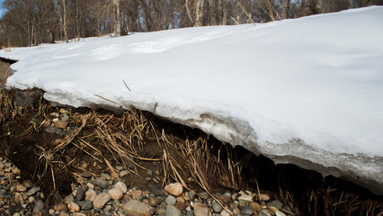 Springtime. Nature background. Bank of river.