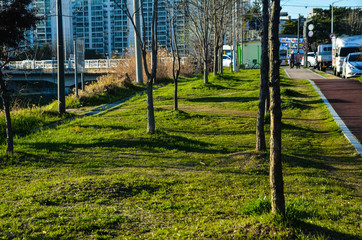 Beautiful sunny park