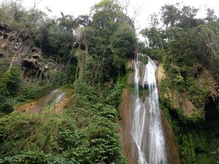 Obraz premium waterfall in forest