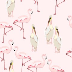 Seamless pattern with hand drawn cute pelicans and pink flamingo birds. Hand drawn beautiful animal design elements. 