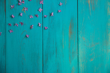 spring lilac on a wooden, turquoise background.