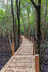 Fototapeta na wymiar Bamboo walkway bridge in the mangrove forest of Tha Ra Nae village, Trat, Thailand