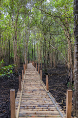 Bamboo walkway bridge in the mangrove forest of Tha Ra Nae village, Trat, Thailand