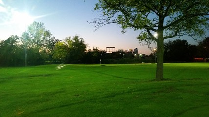 Golf CitiField 