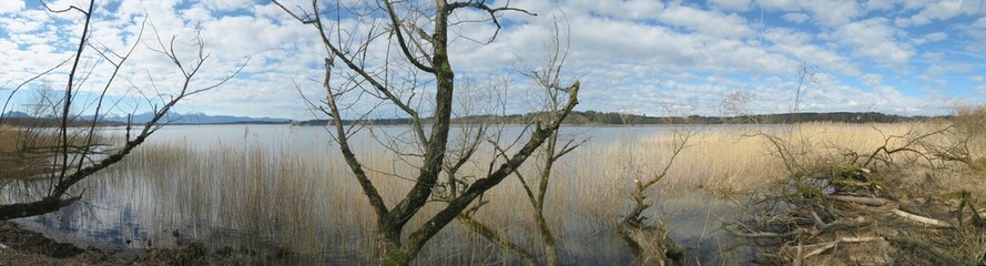 Panorama vom wilden Ostufer des Simssees
