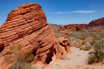Fototapeta na wymiar Red rock formation on focus in the foreground, bushes and rocks in the background inside the State Park of Valley of Fire, Nevada near Las Vegas