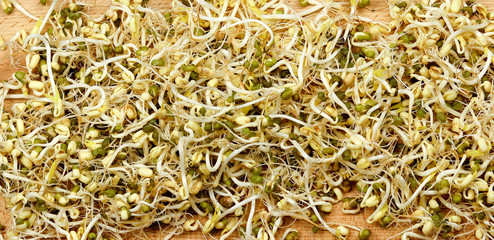 Mung beans sprouts on a wooden board. Top view, flat lay