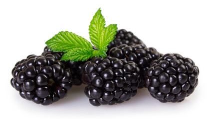 Fresh blackberry on white background - 330152931