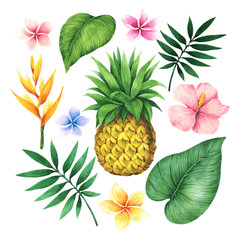 Set with pineapple, tropical flowers and leaves.