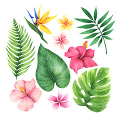 Set of tropical leaves and flowers. 