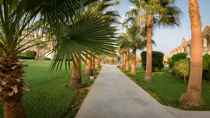 Fototapeta premium Hotel path among palm trees at sunset time