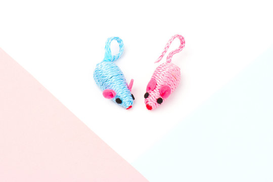 blue and pink toy mouse for pet isolated on blue, white and pink background