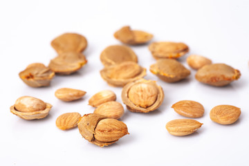 apricot kernel isolated on white background
