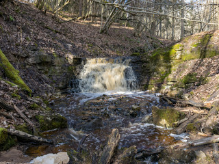 spring landscape with a small waterfall on a small wild river