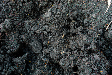 Dark soil with organic matter