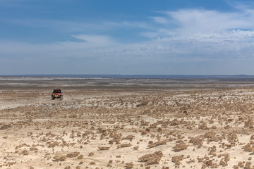 Fototapeta na wymiar The Ustyurt Plateau. tourists travel by car. District of Boszhir. The bottom of a dry ocean Tethys. Rocky remnants. Kazakhstan